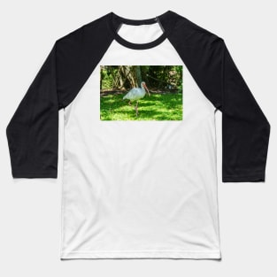 Walking American Ibis Baseball T-Shirt